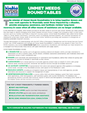 NYDIS Unmet Needs Roundtables (UNR) - Program Profile
