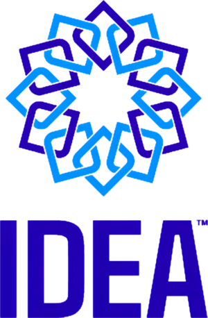 IDEA