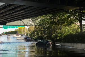 Ida Disaster Case Management program